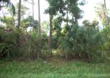 17852 62nd Road North, Loxahatchee, FL 33470